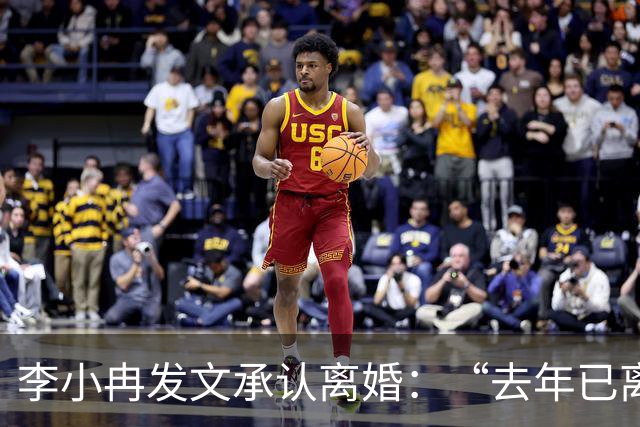 李小冉发文承认离婚：“去年已离互不牵扯，互不打扰，祝各自安好”